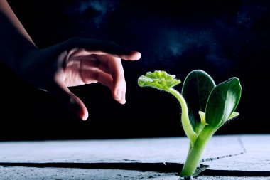 Ay'da yaşam var mı. Karışık teknik