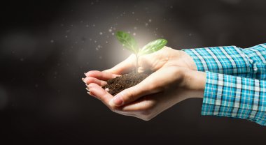 Sevgi ve bakımı ile büyümek yapacak. Karışık teknik