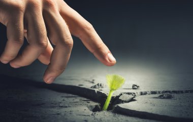 Ay'da yaşam var mı. Karışık teknik