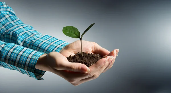 Mit Liebe und Sorgfalt werden Sie es wachsen lassen. Gemischte Medien — Stockfoto