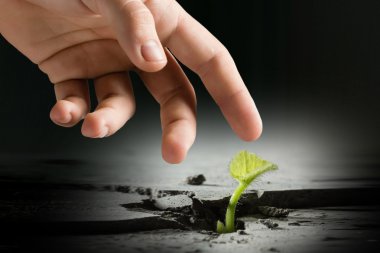 Ay'da yaşam var mı