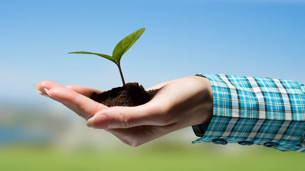 With love and care you will make it grow — Stock Photo, Image