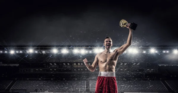 O pugilista celebra a vitória. Meios mistos — Fotografia de Stock