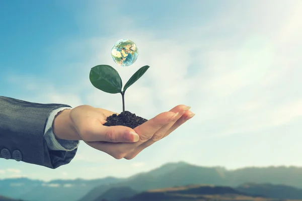 Con cuidado con la naturaleza. Medios mixtos — Foto de Stock