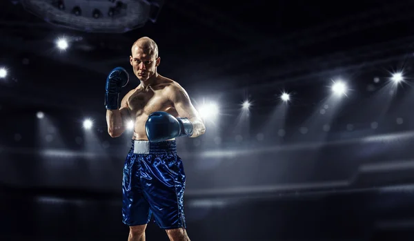 Professional box champion . Mixed media — Stock Photo, Image