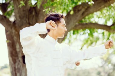 Yakışıklı adam Thai Chi yapıyor.