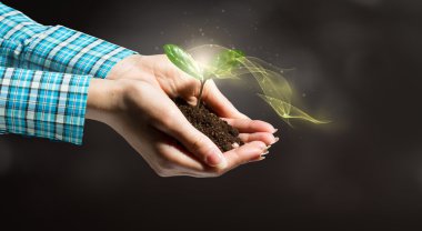 Yeni bir hayat sizin elinizde. Karışık teknik