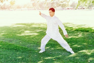 Yakışıklı adam Thai Chi yapıyor.