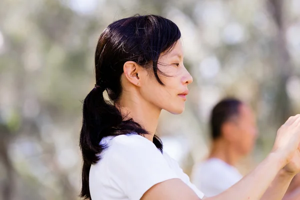 Personnes pratiquant le thai chi dans le parc — Photo