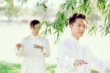 İnsanlar Park Thai chi