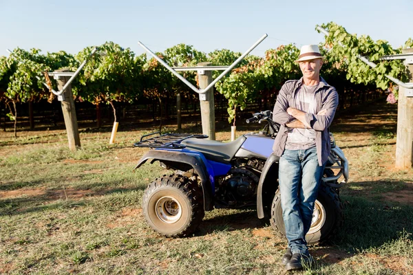 Uomo in piedi accanto al camion in vigna — Foto Stock