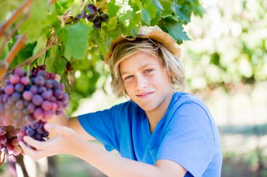Üzüm bağı çocuk