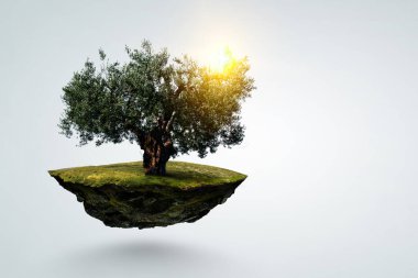 Ağaç ve manzaranın resmi