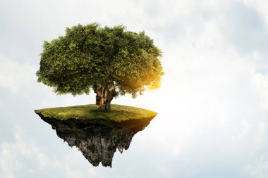 Ağaç ve manzaranın resmi