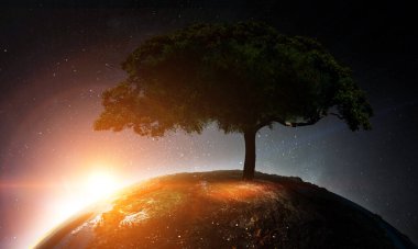 Ağaç ve manzaranın resmi