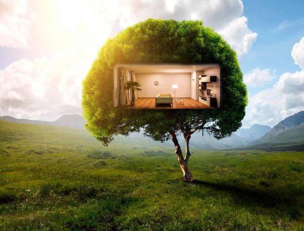 Concept vastgoed en ecologie — Stockfoto