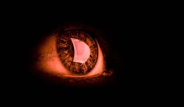 İnsan gözünün makro görüntüsü — Stok fotoğraf