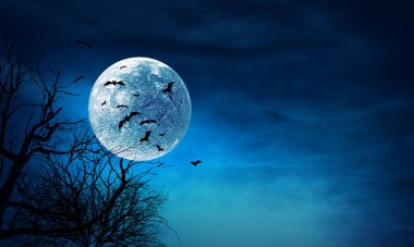 Ürkütücü gece görüntüsü. Karışık ortam