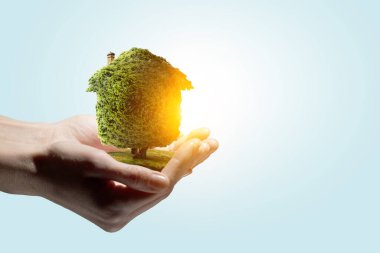 El ele tutuşan yeşil ev. Karışık ortam