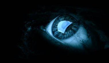 İnsan gözünün makro görüntüsü