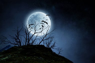 Ürkütücü gece görüntüsü. Karışık ortam