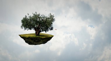 Ağaç ve manzaranın resmi