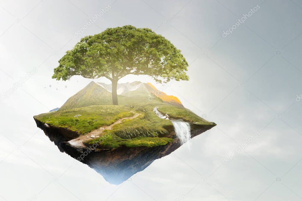 Image of tree and landscape