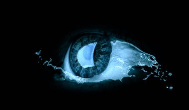 İnsan gözü makro görüntüsü. Karışık ortam