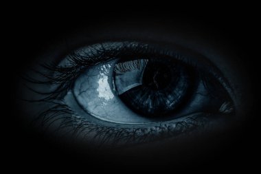 İnsan gözünün makro görüntüsü