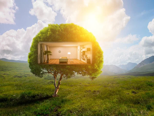 Real estate and ecology concept — Stock Photo, Image