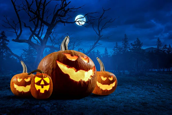 Halloween design med pumpor. Blandade medier — Stockfoto