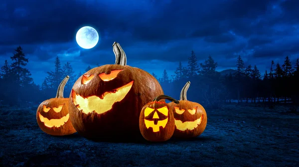 Halloween ontwerp met pompoenen — Stockfoto