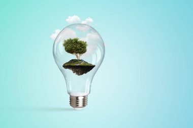 Ampulün içinde büyüyen ağaç