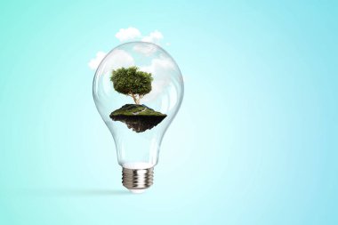 Ampulün içinde büyüyen ağaç
