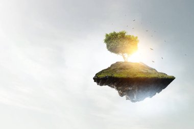 Ağaç ve manzaranın resmi