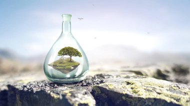 Cam şişenin içinde büyüyen ağaç. Karışık ortam