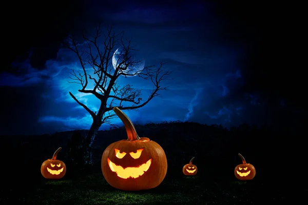 Halloween bild med pumpor. Blandade medier — Stockfoto