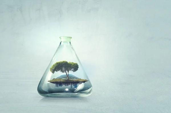 Tree growing inside clear glass bottle — Stock Photo, Image