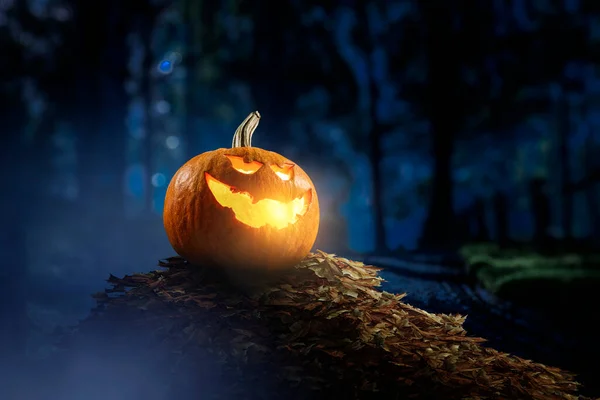 Obraz Halloween z dyniami. Media mieszane — Zdjęcie stockowe