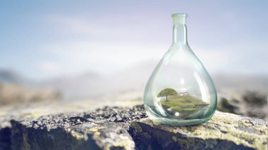 Cam şişenin içinde büyüyen ağaç