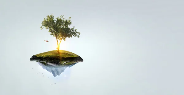 Bild von Baum und Landschaft — Stockfoto