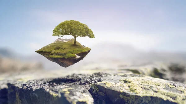 Image of tree and landscape — Stock Photo, Image