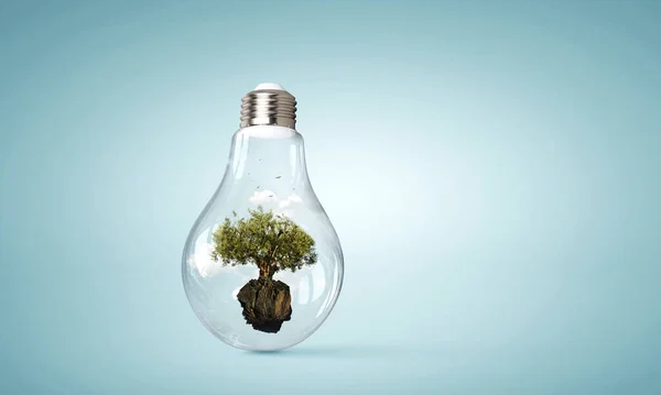 電球の中で成長する木 — ストック写真
