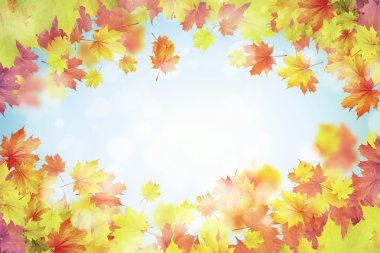 renkli yaprakları arka plan