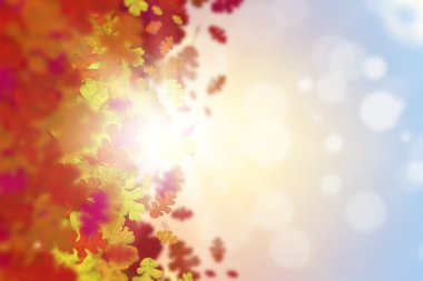 renkli yaprakları arka plan