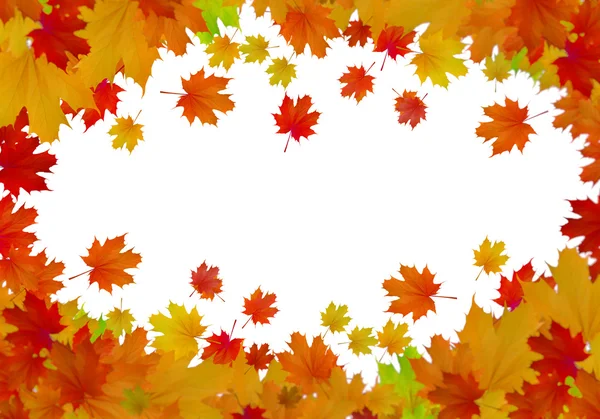 Colorful leaves background — Stock Photo, Image