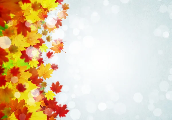 Colorful leaves background — Stock Photo, Image