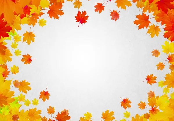 Colorful leaves background — Stock Photo, Image