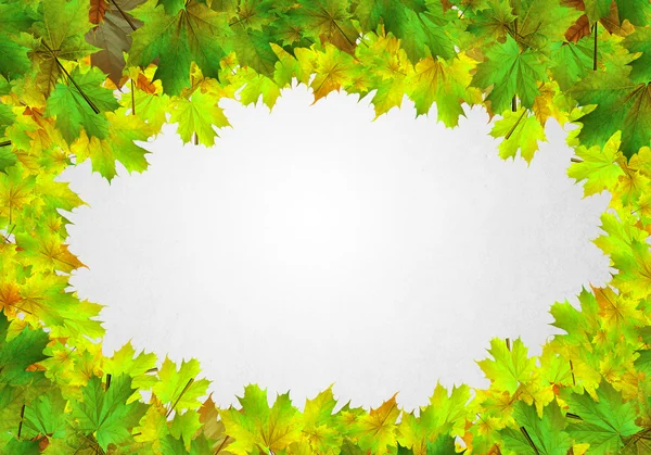 Colorful leaves background — Stock Photo, Image