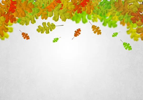 Renkli yaprakları arka plan — Stok fotoğraf